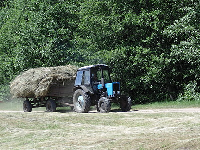 traktor, Hay, hutan, transportasi, di luar rumah, hari, bekerja