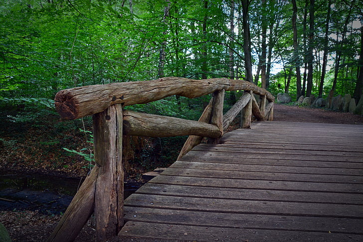 bridge, railing, forest, forest path, wood, web, transition
