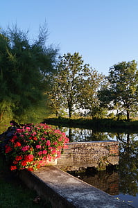 river, floral decoration, genlis, water's edge, nature, landscape, summer