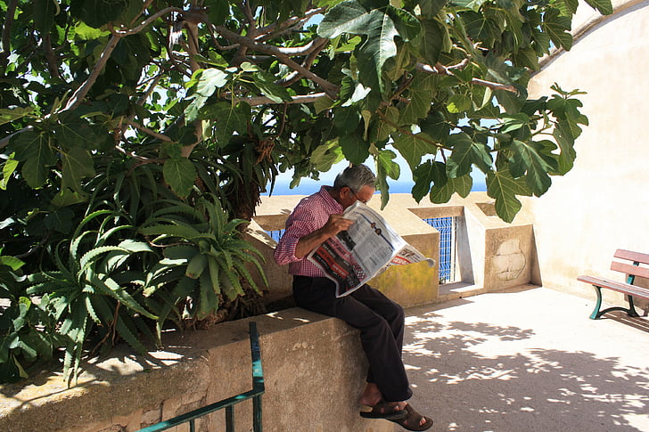 old man, tree, shadow, read newspaper, morning, relax, lesure time