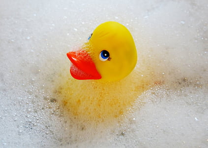 swim, duck, bath accessories, yellow, bill, rubber duck, play