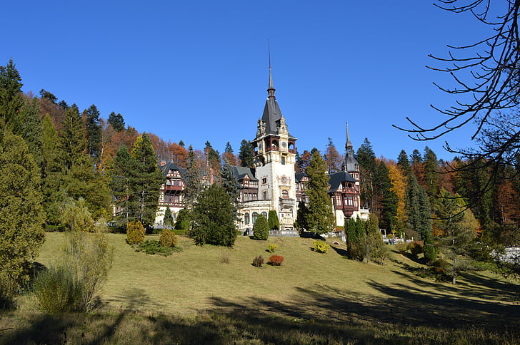 castle, romania, blue, forest, landscape, trees, prato