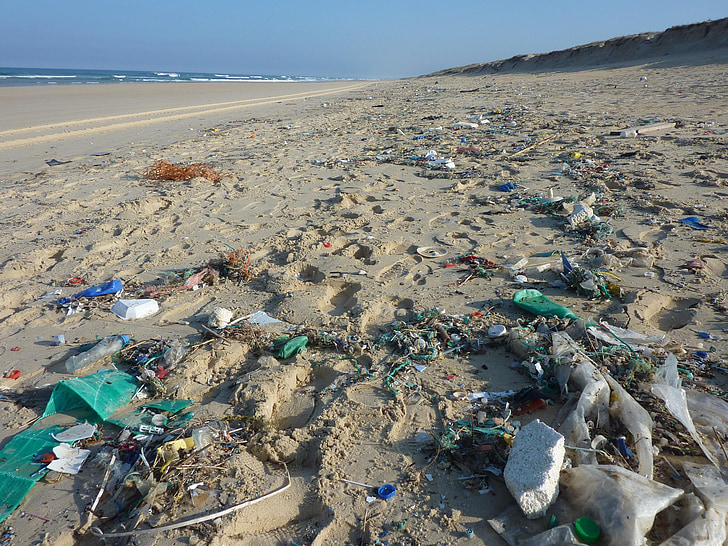 aizsegā, atkritumi, rindas izmaksas, krasts, pludmale, miskastes, piesārņojums