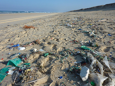 couvert, déchets, coûts de ligne, Côte, plage, poubelle, pollution
