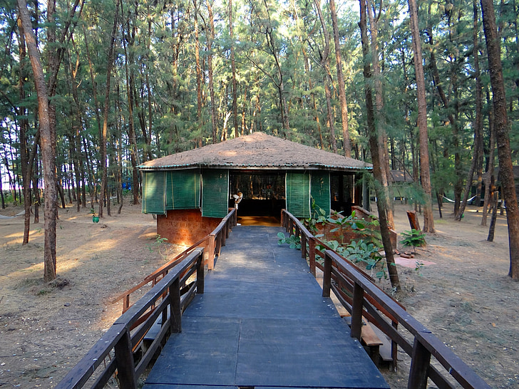 cabaña de troncos, circular, bosque, Karwar, India, arquitectura, punto de referencia