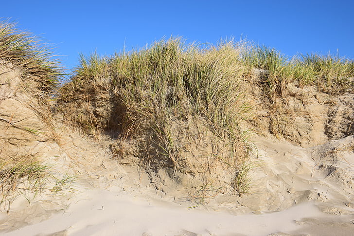 Dune, Sea, Beach, Sand, Pohjanmeren, Tanska, Holiday