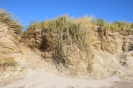 dune, sea, beach, sand, north sea, denmark, holiday