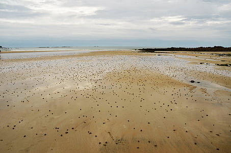 beach, sand, eb, tide, coast, ocean, sea