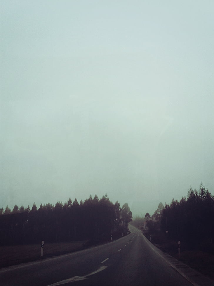 curve, fog, foggy, forest, haze, road, street
