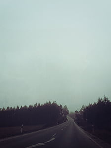 curve, fog, foggy, forest, haze, road, street
