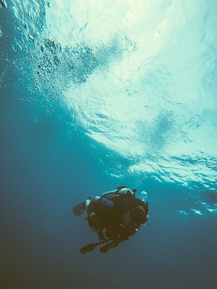 sous l’eau, photographie, personne, plongée sous-marine, costume, en journée, mer