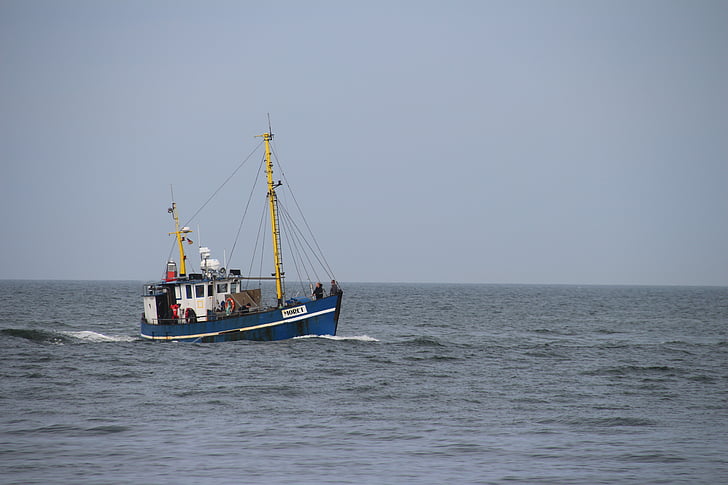 fishing boat, ship, sea, port