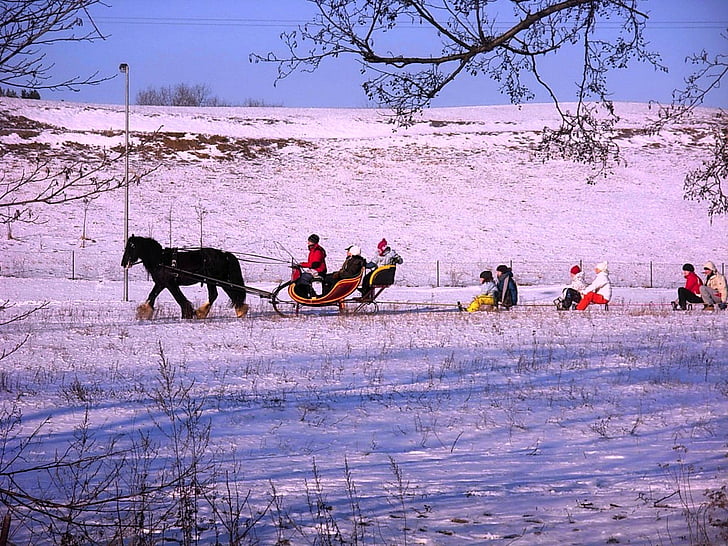 landschap, winter, sneeuw, ijs, sleigh ride, paard, mensen