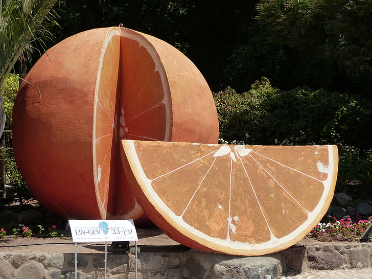 oranžová, ovoce, citrusové