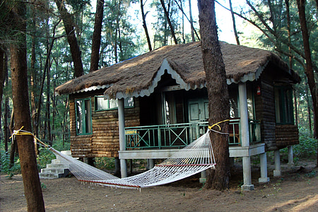 log, hut, wood cabin, slanted roof, forest, casuarina, india