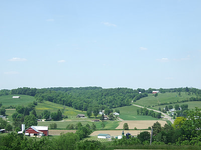 Amiši, zelenilo, Ohio, krajolik, zemlja, slikovit, na otvorenom