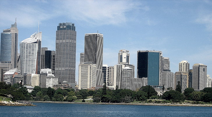 Australien, Sydney, hamn, skyskrapa, Sydney harbour, skyskrapor, Holiday