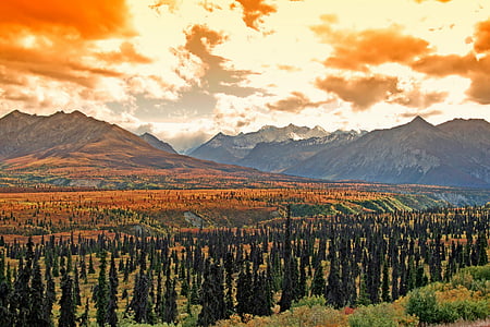 Aljaska, krajolik, slikovit, šuma, stabla, planine, tundra