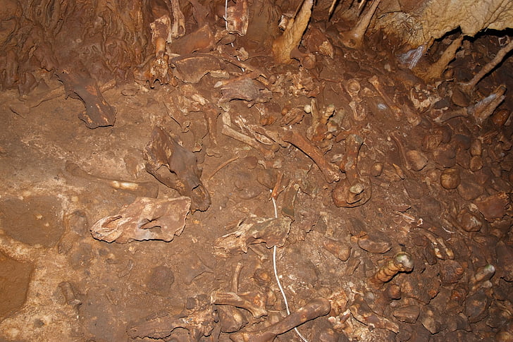 vilseleda muslimer från, Ben, kőlyuk grotta, Beech hg, Cave