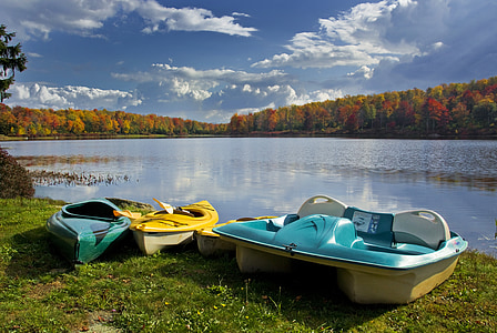 Lago, barca, barca a remi, acqua, caduta, autunno