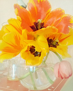 bloemen, Tulpen, Lentebloemen, fraai, lente, dubbele tulip, gele tulp