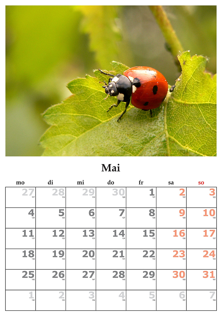 calendar, month, may, may 2015