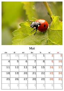 Calendar, lună, poate, mai 2015