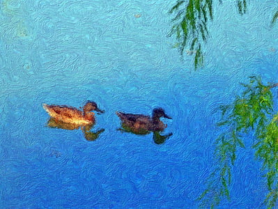 ducks, pond, painting, wildlife, waterfowl, mallard, swimming