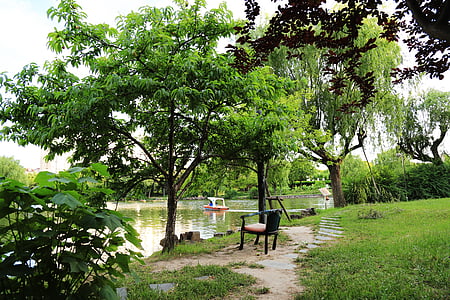 the scenery, green, summer