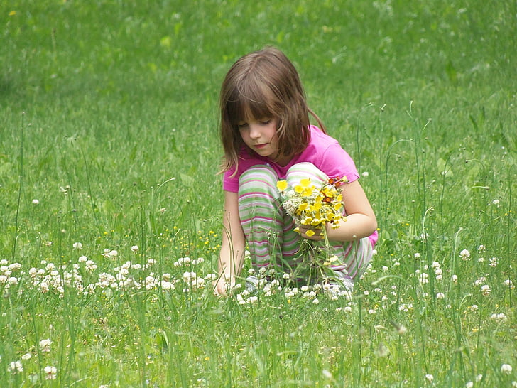 branje cvijeća, djevojka, dijete, lijepa, osoba, mali, Muški
