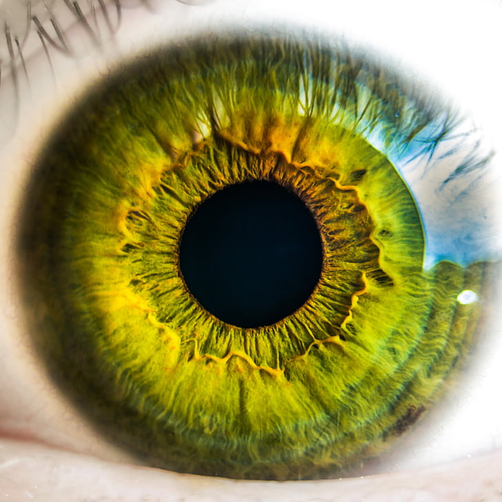 ull, globus ocular, verd, visió, vista, retina, vista