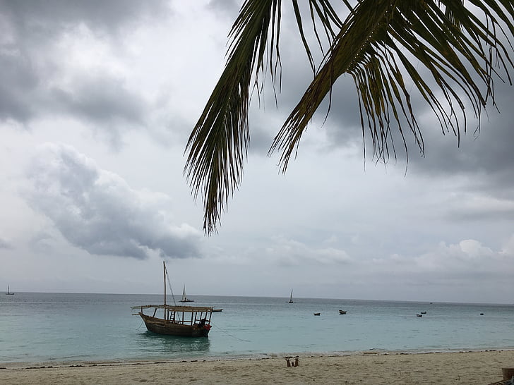 Zanzibar, Ocean, Aafrika