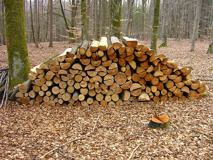 hout, bos, holzstapel, gezaagd, Split, stapel, brandhout