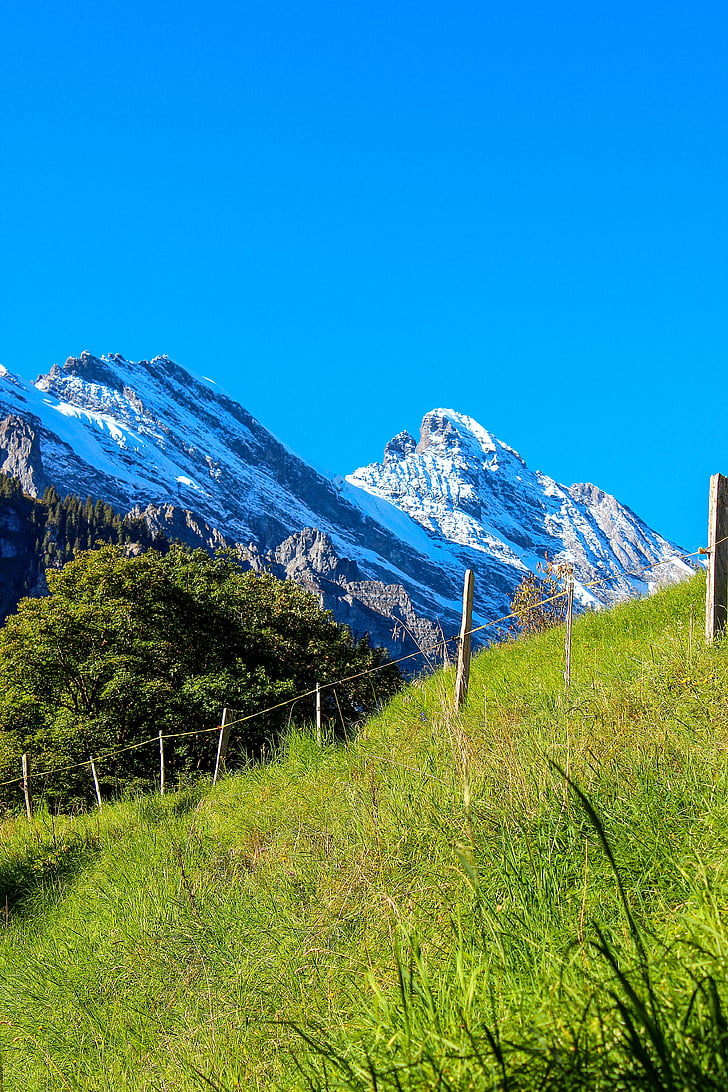bjerge, landskab, natur, Mountain, Schweiz, Alperne, skråninger