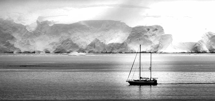 Antarktisz, csónak, hajó, jég, fehér, víz, táj