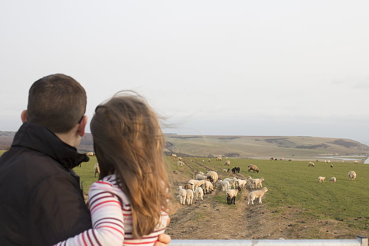 familie, vader en dochter, schapen, Sussex, lammeren, bovenliggende, twee
