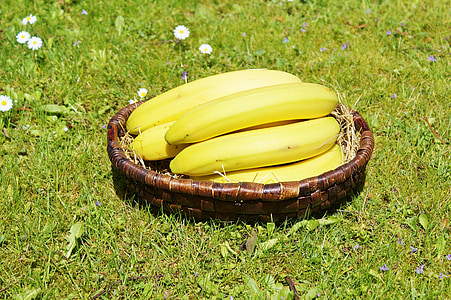 pisang, buah-buahan, buah, Makanan, kuning, sehat, alam