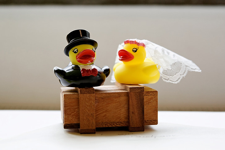wedding, veil, cylinder, luck, eternity, pair of ducks