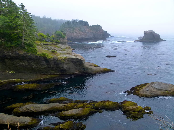 Cape laskanje, Megla, Megla, državi Washington, ZDA, obala, Tihi ocean