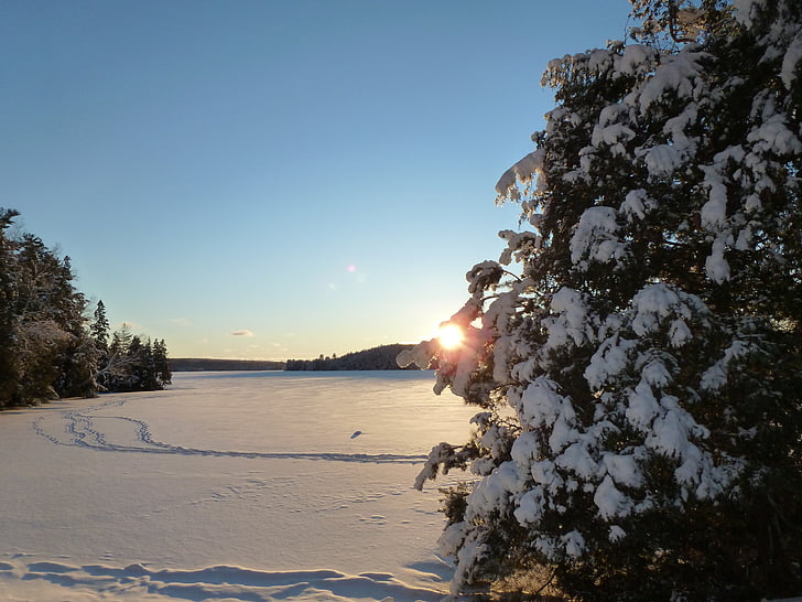 Llac, sender, neu, l'hivern, blanc, posta de sol, Haliburton