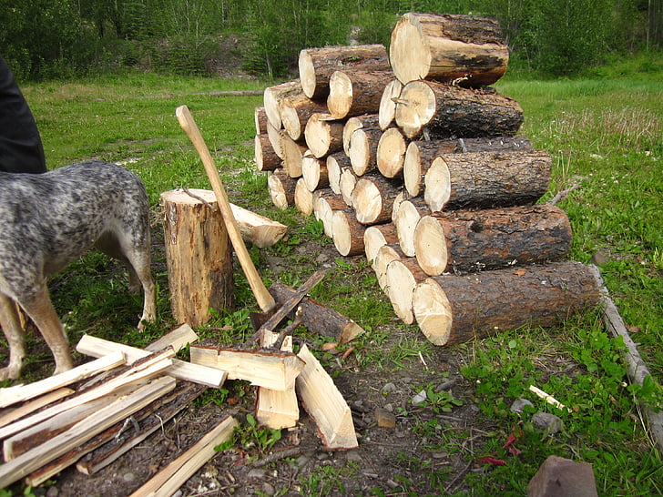 fire wood, wood, pile, stacked, stack, camping, camp