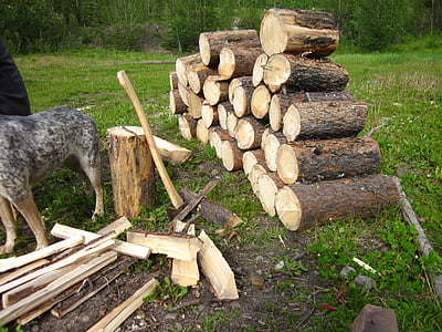 drewno, drewno, kupie, ułożone, stos, Camping, obóz