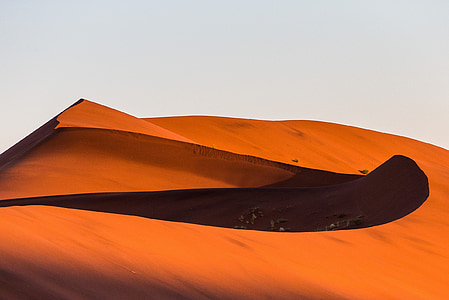 Dune, öken, Namibia, Afrika
