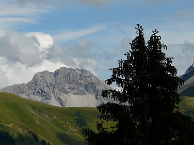 Panorama, alpski, planine, planine, drvo, jele, alpenpanorma