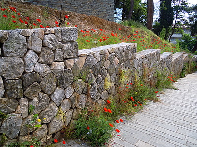 coquelicot, pavots rouges, mur de Pierre, matériel en pierre, architecture, vieux, mur - bâtiment caractéristique