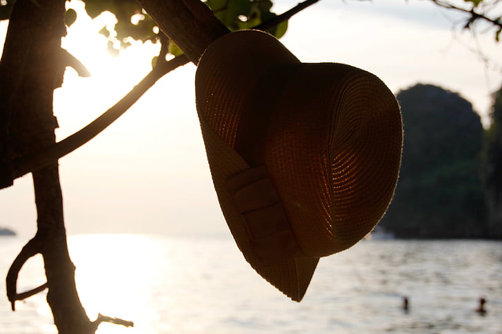 zon, hoed, boom, vakantie, zomer, vakantie, strand