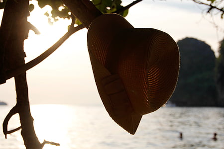 sonce, klobuk, drevo, počitnice, poletje, prazniki, Beach