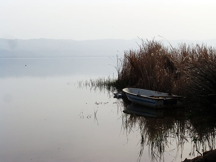 reeds, lake, iznik, turkey, boat, water, calm