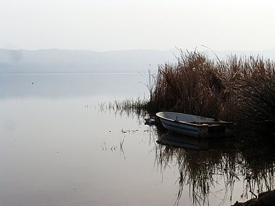 roseaux, Lac, Iznik, Turquie, bateau, eau, calme