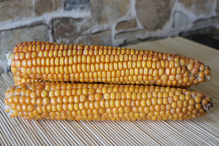 kukurūza, Corn par vālīšu, dārzeņi, pārtika
